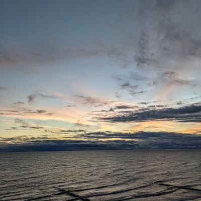 MovementOne offers classes, workshops, & unique offerings in-person & online exploring movement, dance, somatics, mindfulness, & embodying practices.