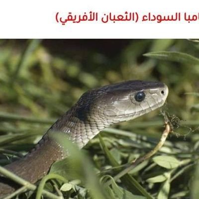 Mossed14055008's profile picture. I comfortable