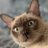 controlflow's profile image