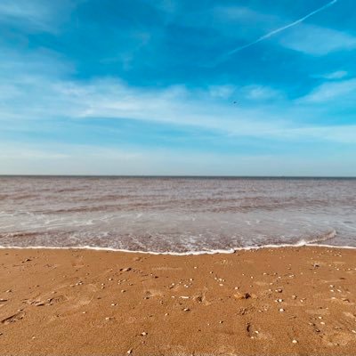 StanViento's profile picture. 