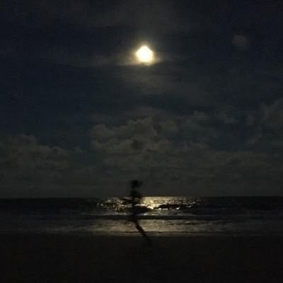 PaulSitar's profile picture. 