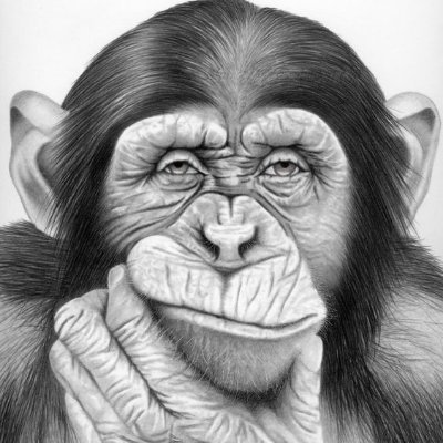 fingerlicking4's profile picture. fu#k the west. I 'll fight supporting Russia every and any way I can.