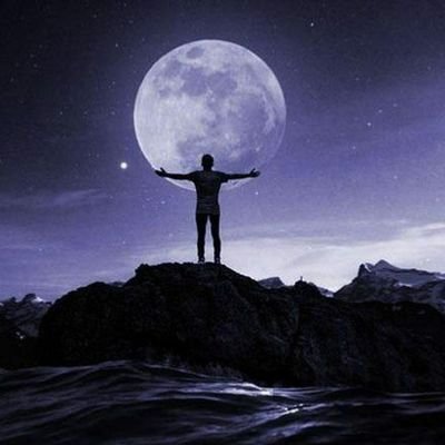 Kai_qqq1's profile picture. So many books, so little time