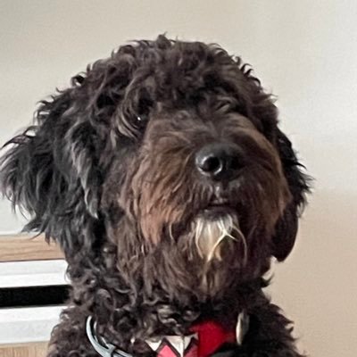 Alvaro_GVMQ's profile picture. 