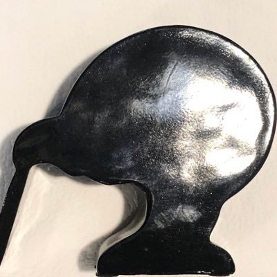 notthekiwiway's profile picture. 