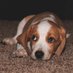 Mark Elsner Photos (@snapsbyme) Twitter profile photo Mark Elsner Photos (@snapsbyme) Twitter profile photo