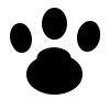 A Toronto-based pet community. Tweets are by @eyeleans and @chersantamaria.