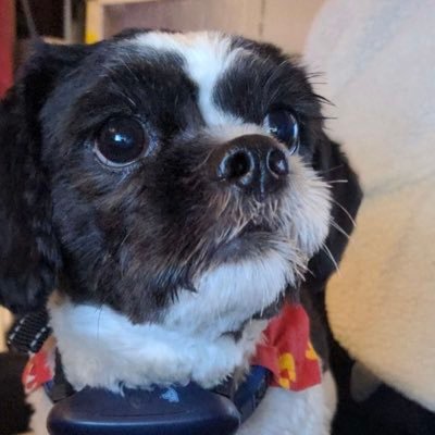 Autumn_marie22's profile picture. I go to seek a great perhaps