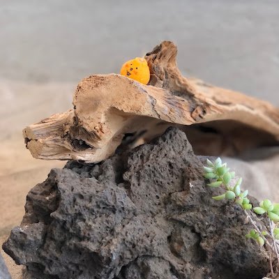 jyp4009's profile picture. 