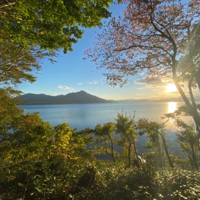 panda_hoihoi's profile picture. 