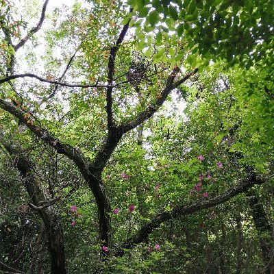 soiree12's profile picture. 