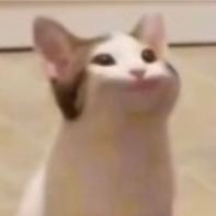 Creg24895790's profile picture. 