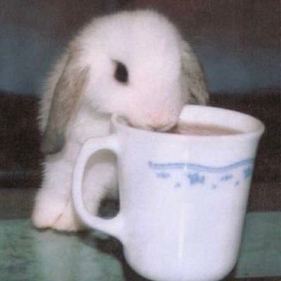 nyuu94's profile picture. nothing to say