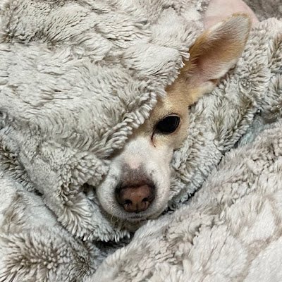 ihoyeong5's profile picture. Jerry