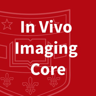 The Washington University School of Medicine In Vivo Imaging Core (IVIC) specializes in vivo two-photon imaging and multidimensional data analysis.