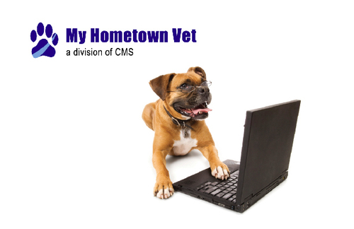 MyHometownVet's profile picture. Veterinary Internet Marketing