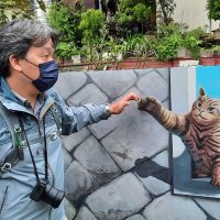 Jimmy Lee (@analogjimmy) 's Twitter Profile