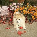 Michelle Sikes - @MichelleSikes5 - Twitter