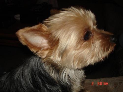 TedGlassKC's profile picture. 