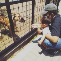 Tovan Nugroho (@nugrohotovan1) 's Twitter Profile