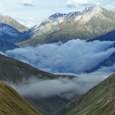 David91845223's profile picture. 