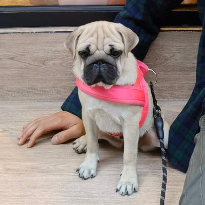 ben85317324's profile picture. Now is a good beginning, i'm sure we'll be better and better in future.