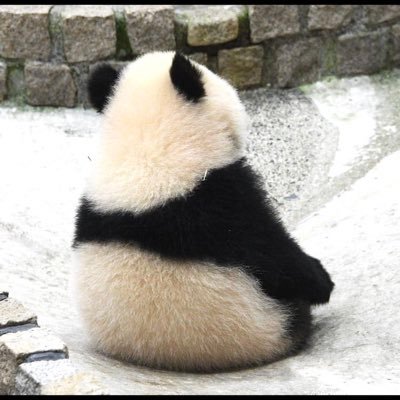 tkkjmn's profile picture. 