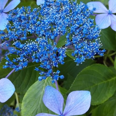 hammnmmhamm's profile picture. 読書垢
#読了 

 #読書 #映画 #漫画 #読書垢
ジャンル問わず何でも読むし、観ます。
無糖派・無党派
政治宗教エトセトラ…勧誘は一切受け付けません。

#読書好きと繋がりたい
#図書館好きと繋がりたい
#映画好きと繋がりたい