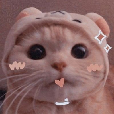 ga joining account. don't reroll pls if you don't see my proofs. I often use my phone but sometimes laptop when joining, only if lowbat
tg: erinwincutie