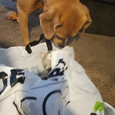 Tjsbabygurl4eva's profile picture. 