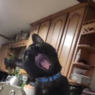 LadieK_'s profile picture. still hopeless, just a lil older🤧