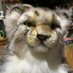Qmaneco (@qumanecotan) Twitter profile photo Qmaneco (@qumanecotan) Twitter profile photo