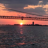 カレーナイス (@shoooouchaaan) Twitter profile photo