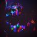 Xariella (@xariellamusic) Twitter profile photo Xariella (@xariellamusic) Twitter profile photo