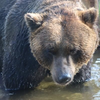 mOAo9TNNTVNVlXS's profile picture. 