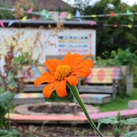 @ELFTPrimaryCarePatientEngagement (@elft_pce) 's Twitter Profile