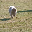 Gin Brown - @gmilhon - Twitter