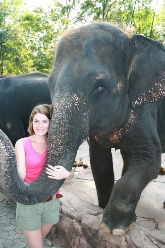 Entomusiasm's profile picture. 