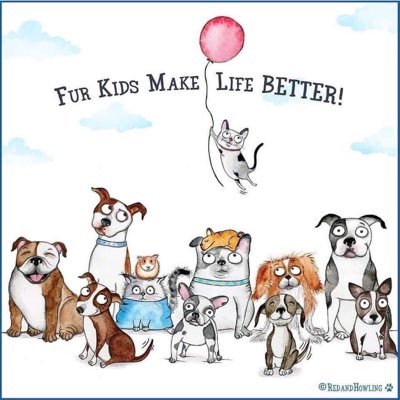 Fur Mum to 2, animal lover, awesome Auntie and elementary teacher