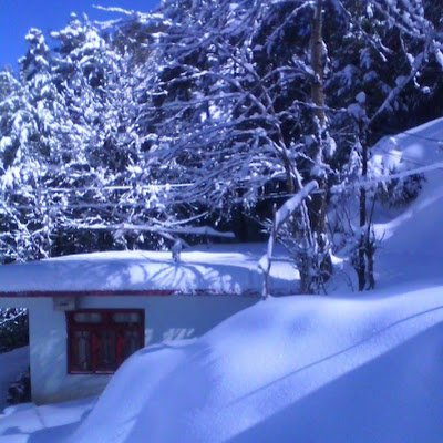 ZulfiqarEz's profile picture. COMSATS ABBOTTABAD