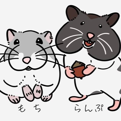 ぴっぴさんのプロフィール画像