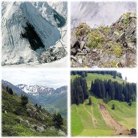 Mountain Ecosystems Group SLF / CERC (@slf_mountecosys) 's Twitter Profile Photo Mountain Ecosystems Group SLF / CERC (@slf_mountecosys) 's Twitter Profile Photo