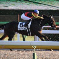 こーじ@雑多垢 (@koji_hitokuchi) 's Twitter Profile Photo