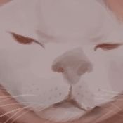 Skathex's profile picture. 