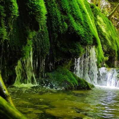 TxemaForo's profile picture. 