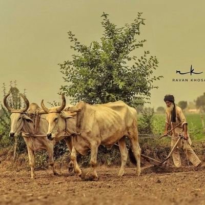 gauravsinghrld's profile picture. Sports