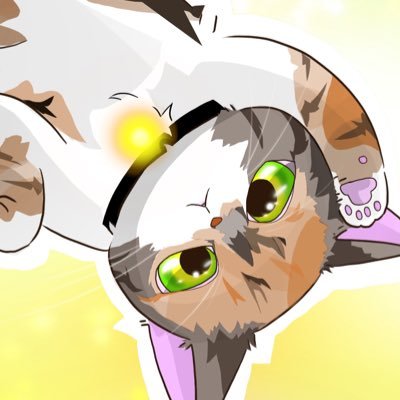 しゅなさんのプロフィール画像