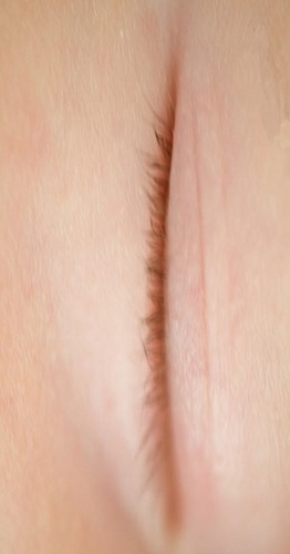 SemContexto's profile picture. 