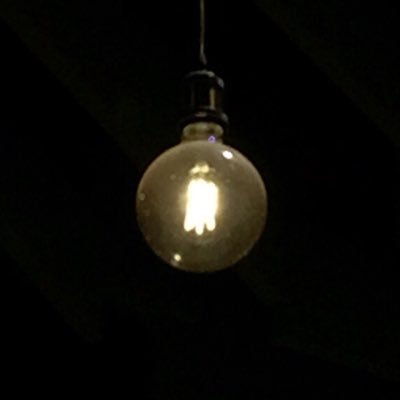 niesa104's profile picture. 