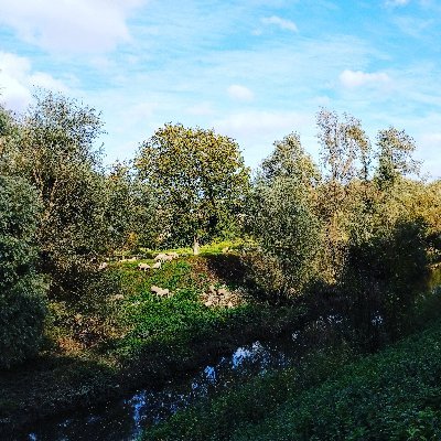 een politiek ecologisch georiënteerde man met belangstelling voor geschiedenis,natuur,wetenschap,muziek en kunst in de breedste vorm